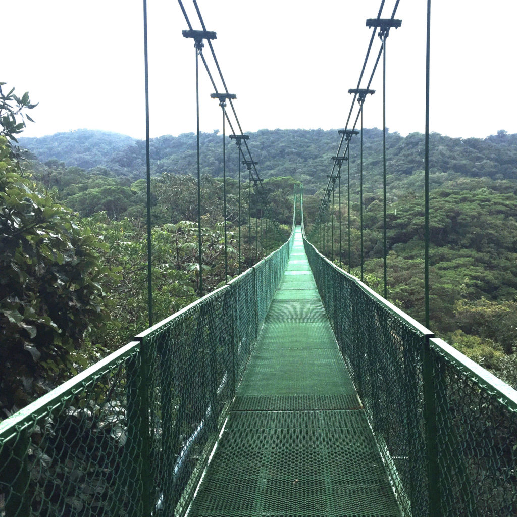 pont suspendu Monteverde