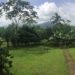 anita rainforest Costa Rica écolodge
