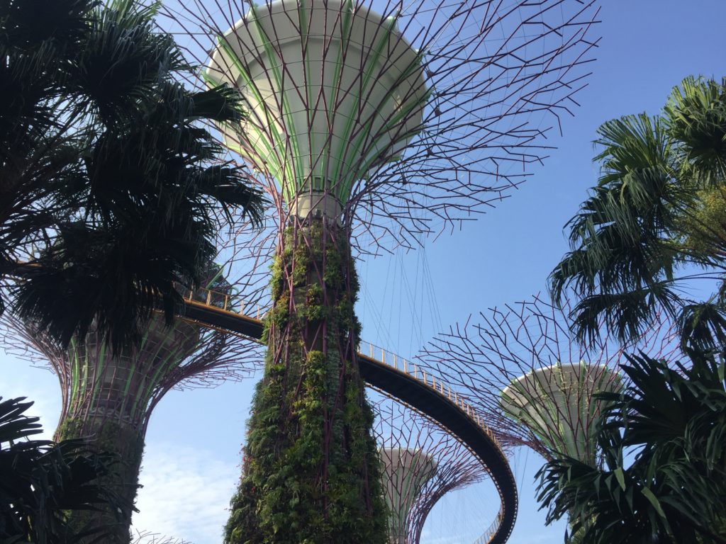 supertrees singapour